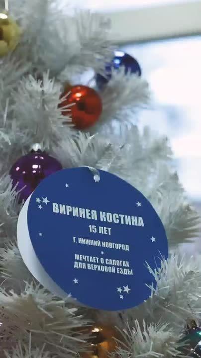 Юрий Арсентьев исполнил новогоднюю мечту 15-летней нижегородку Виринеии