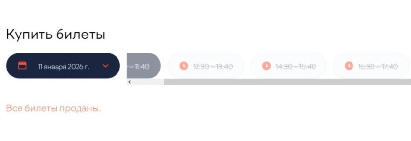 Каток на Нижегородской ярмарке продолжает работу, несмотря на снегопад