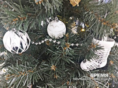 Михаил Мурашко исполнил мечту 17-летней кстовчанки