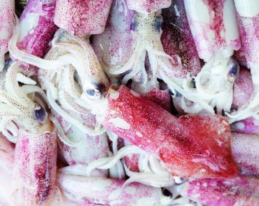 Кальмары: морские деликатесы с удивительным вкусом и пользой