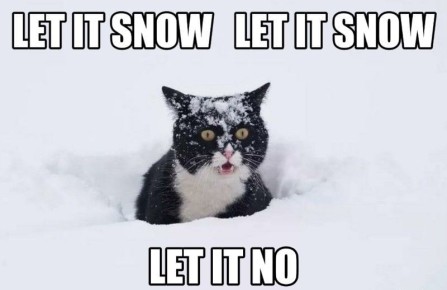 В Нижегородской области ожидаются сильный снег, ледяной дождь, гололёд 9-10 января, сообщает Гидрометцентр