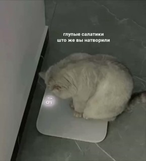 Доброе утро!. Ещё два законных выходных у нас есть