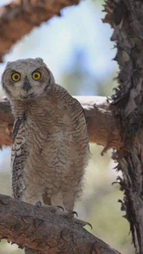 Доброе утро!. Воскресным утром, да ещё во время длинных зимних каникул можно поспать подольше