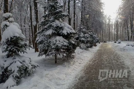 Снегопады и похолодание ждут нижегородцев на предстоящей неделе