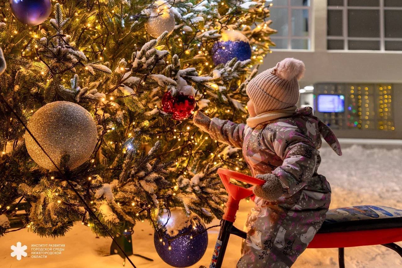 Новогодние ёлки из Нижегородской области участвуют во всероссийском конкурсе «Елки России» Новогодние ёлки из Нижегородской области участвуют во всероссийском конкурсе «Елки России»