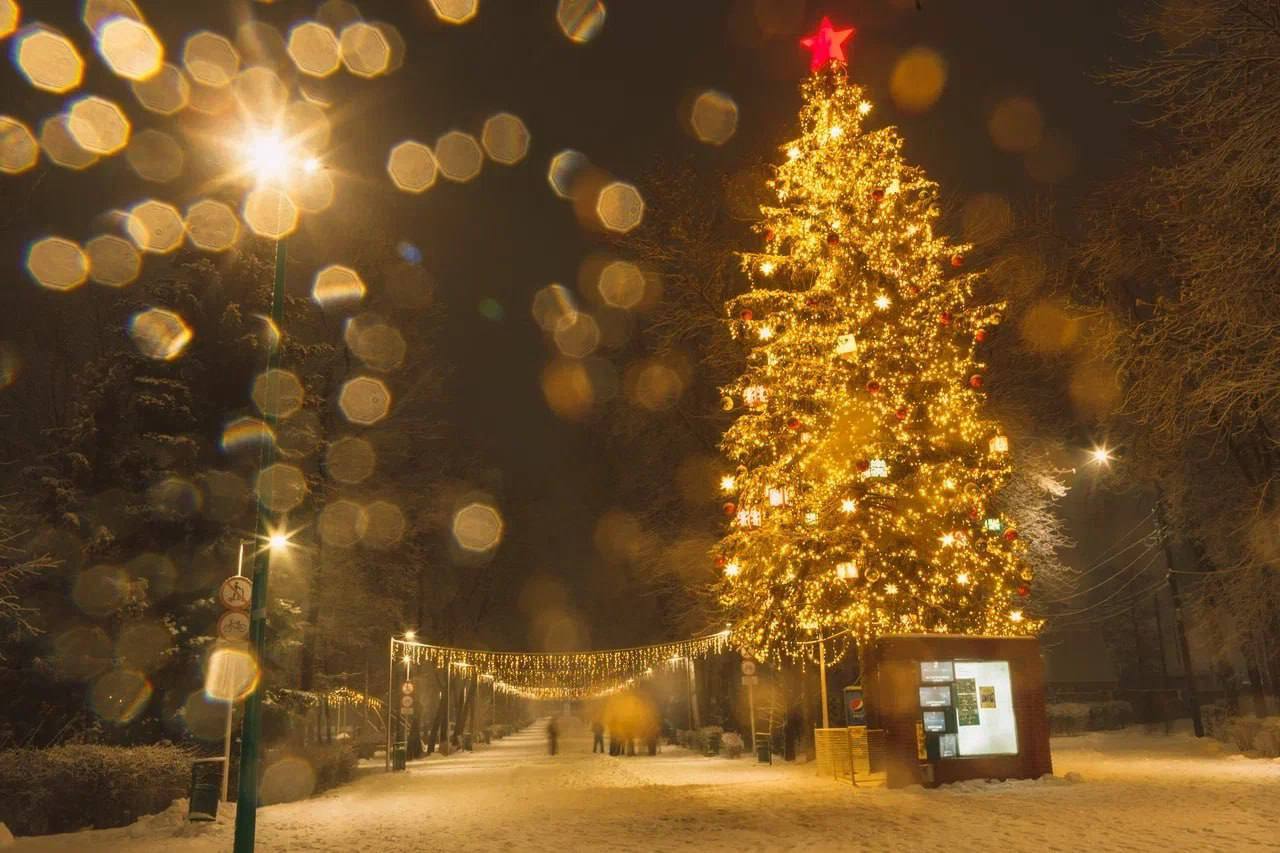 Новогодние ёлки из Нижегородской области участвуют во всероссийском конкурсе «Елки России» Новогодние ёлки из Нижегородской области участвуют во всероссийском конкурсе «Елки России»